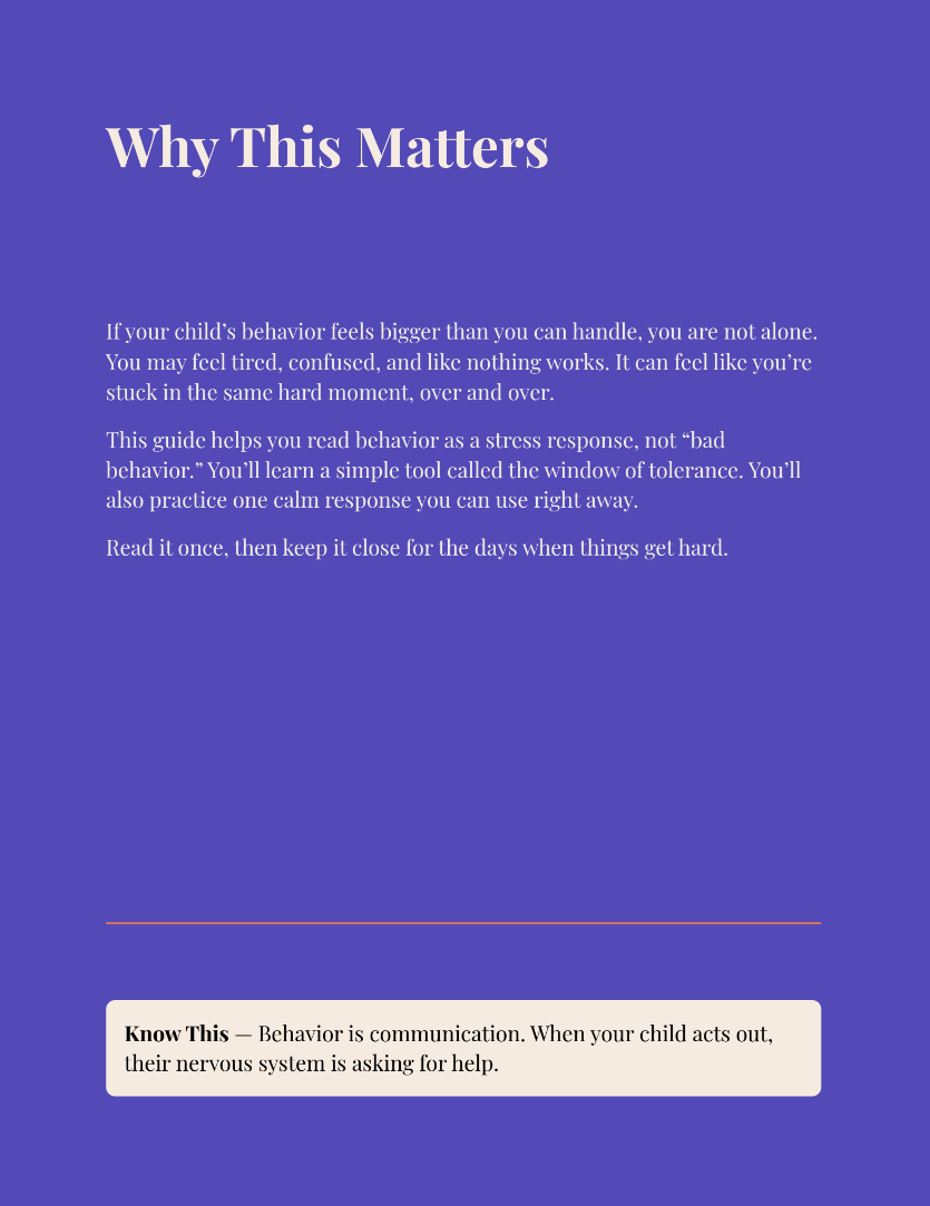 What Your Child's Behavior Is Really Telling You - Image 3
